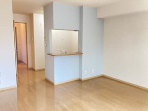 リヴュール A0102号-5