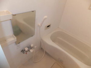 Ｙｏｒｋ　Ｈａｐｐｉｎｅｓｓ A0101号-7