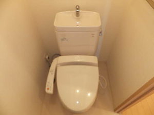 Ｙｏｒｋ　Ｈａｐｐｉｎｅｓｓ A0101号-8