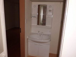 ヴィレッタ セレナ A0001号-8