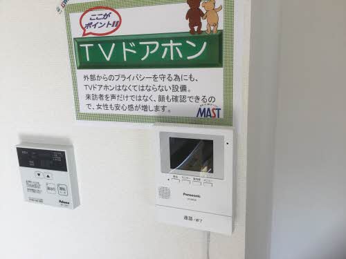 エバーグリーン A0202号-6