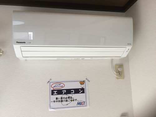エバーグリーン A0202号-7