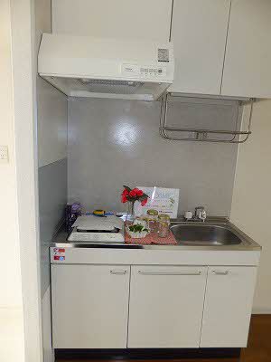 シャーメゾンウエスト A0205号-3