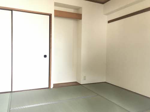 シェソワホリオ A0501号-9