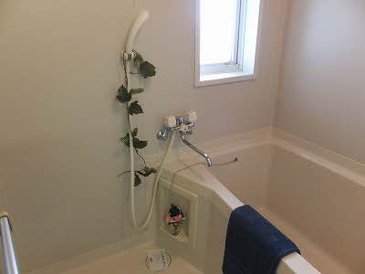 セフィラＳＳＫ　　Ａ棟 A0111号-9