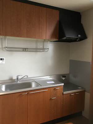 ピースフルラビット A0201号-2