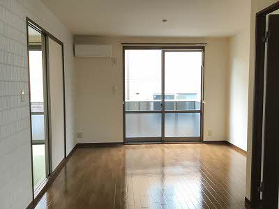 ピースフルラビット A0201号-4