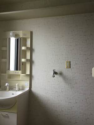 ピースフルラビット A0201号-6