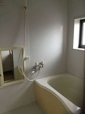 ピースフルラビット A0201号-7