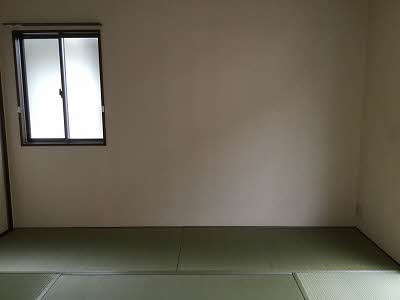 ピースフルラビット A0201号-11