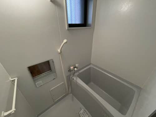 ジョルニ・フェリーチ A0201号-4