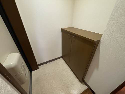 ジョルニ・フェリーチ A0201号-5