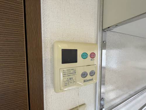 ジョルニ・フェリーチ A0201号-8