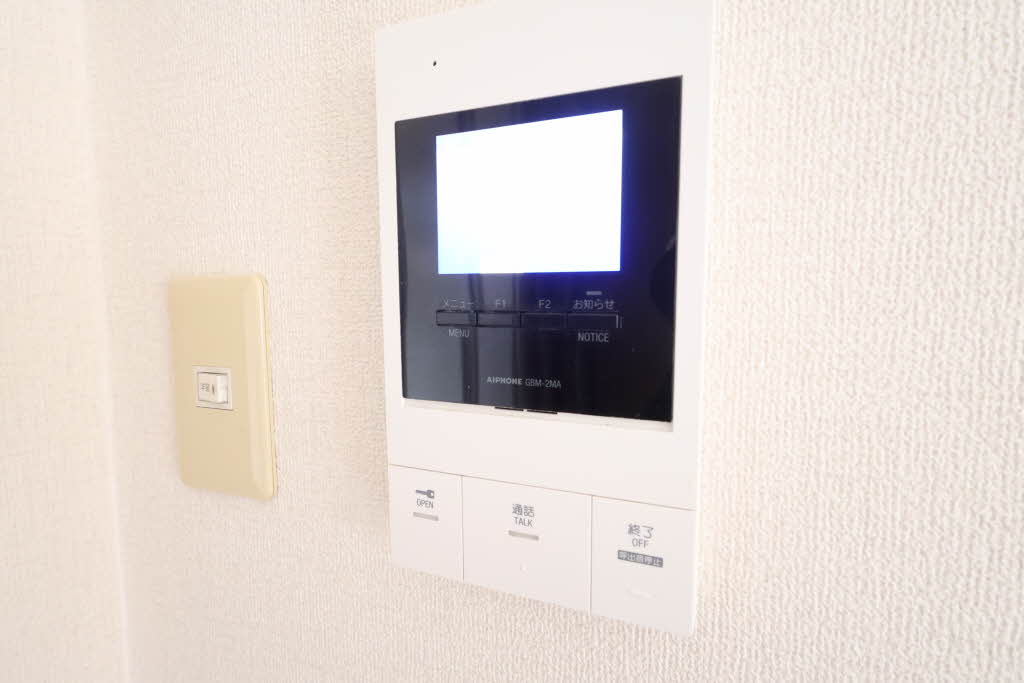 ジョルニ・フェリーチ A0301号-9