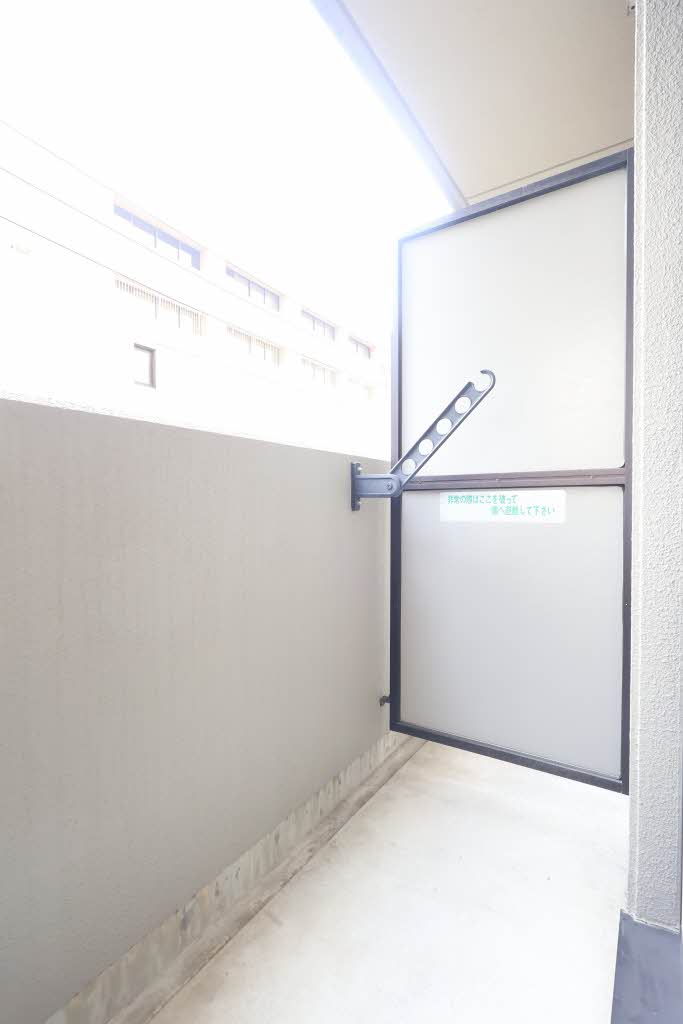 ジョルニ・フェリーチ A0301号-13