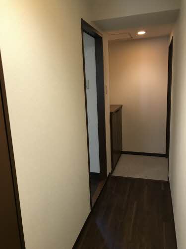 ジョルニ・フェリーチ A0705号-11