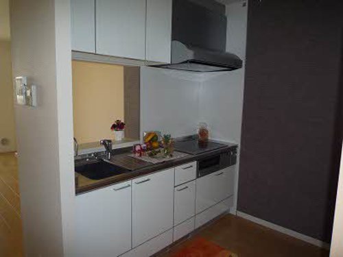 ｉメゾン亀山 A0202号-10