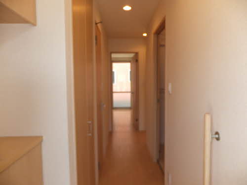 Ｙｏｒｋ　Ｈａｐｐｉｎｅｓｓ A0101号-4