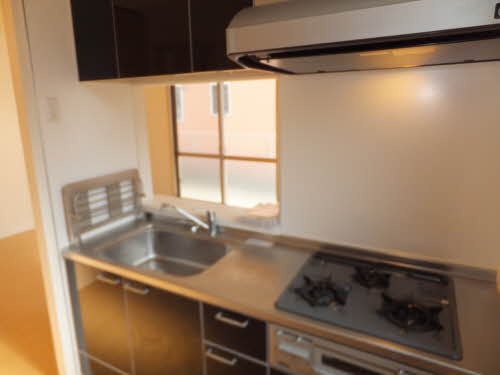 Ｙｏｒｋ　Ｈａｐｐｉｎｅｓｓ A0101号-13