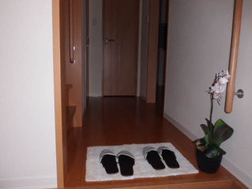 ヴィレッタ セレナ A0001号-2