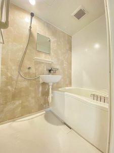 ハイネス田中Ⅱ　Ａ棟 A0202号-10