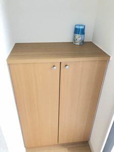 フレグランス東川口 A0201号-2