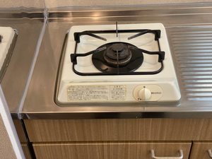 ダイナスティ２１　１号館 A0203号-13