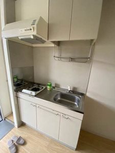 ダイナスティ21 2号館 B0205号-3