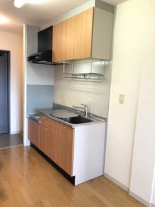 レアンドロス A0207号-10