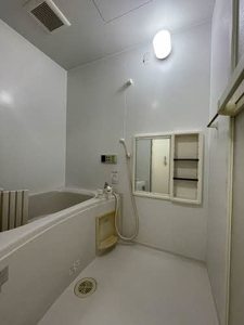 レアンドロス A0210号-7