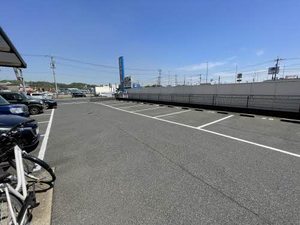 レアンドロス A0210号-15