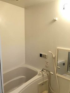 レアンドロス A0310号-10