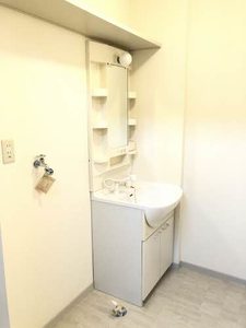 レアンドロス A0310号-11