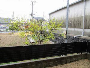 レーヴィンス　Ｃ棟 C0102号-12