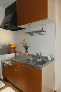 メゾンアメニティ槙原　Ａ棟 A0105号-3