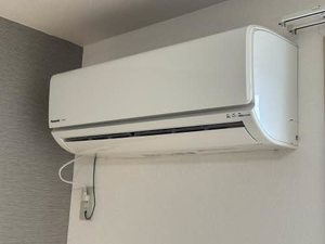 フルール東川口 A0201号-12