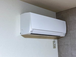 ロイヤルオークス A棟 A0201号-13