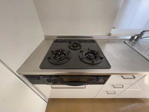 スカイメゾン　１２番館 C0102号-8