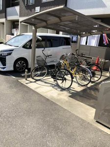 ノアール A0202号-2