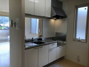 ドミールＯＤＡ A0101号-9