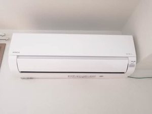 セイフティパストラル A0103号-13