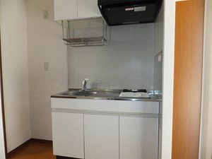 スカイメゾン 5番館 A0102号-4