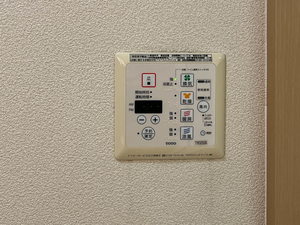 ピリエール・リシエス ピリエール A0201号-15