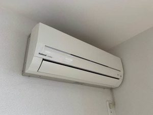 キングヴィアル A0103号-10