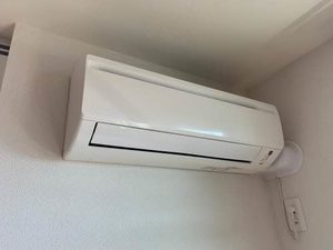 サンシャイン東川口 A棟 A0203号-10