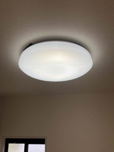 ジェイナス A0202号-8