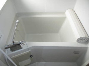 カーサイベリアル D棟 D0208号-8