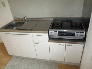 カーサイベリアル D棟 D0208号-10