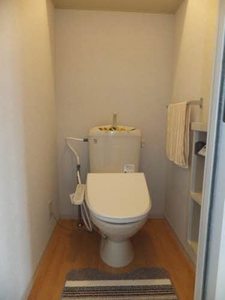 レインボーハイツ　Ｂ棟 B0205号-5