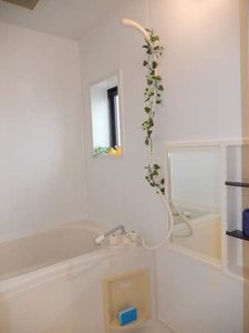 メゾン　アイ　ファミーユ　Ａ棟 A0201号-6